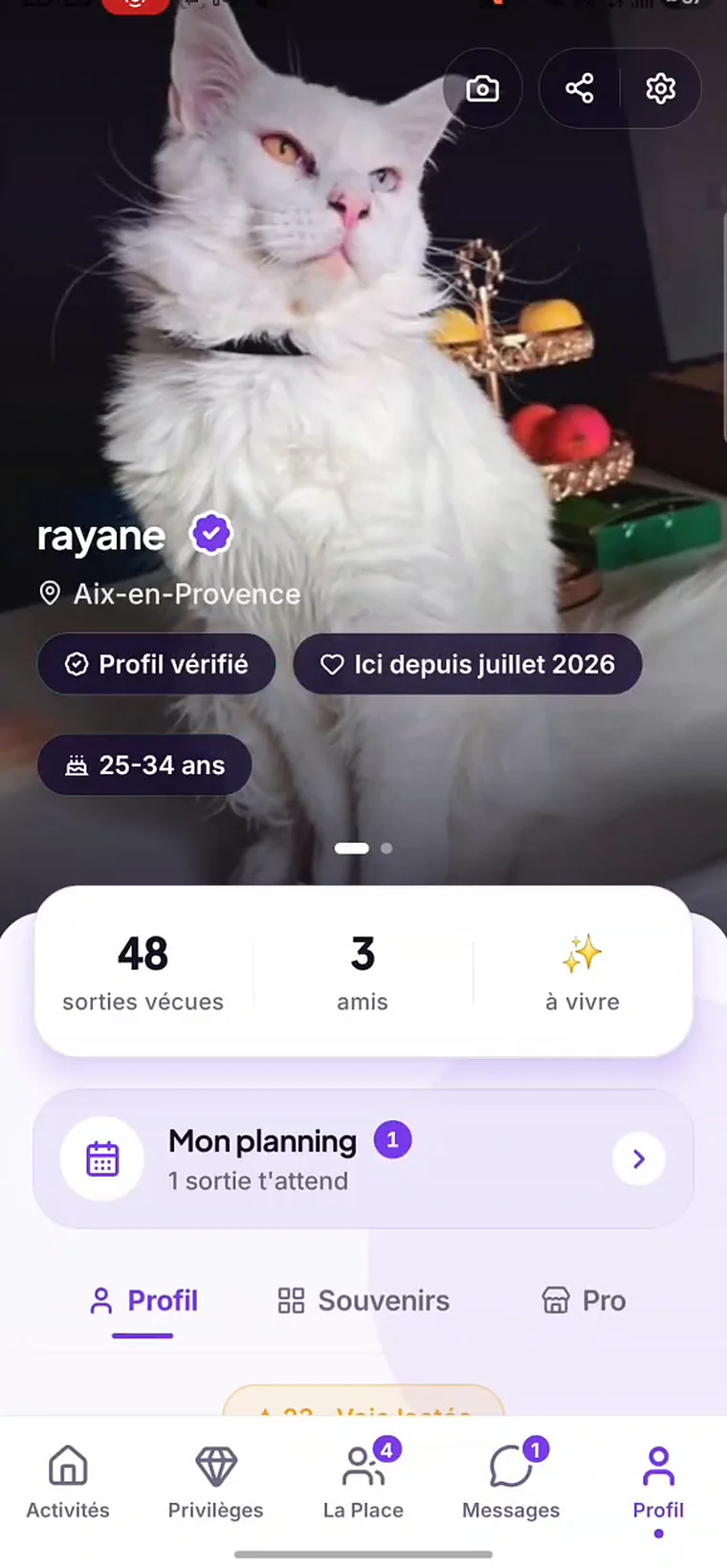 Le profil viens. : profil vérifié, tranche d'ùge, sorties vécues et amis, avec l'onglet Souvenirs